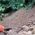 സംസ്ഥാനത്ത് മഴ ശക്തമാകുന്നു,  രണ്ടു മരണം
