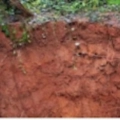 കനത്ത മഴയെ തുടർന്ന് ചേമഞ്ചേരിയിലുള്ള വീട്ടിലെ കിണർ ഇടിഞ്ഞുതാഴ്ന്നു.