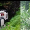 താമരശ്ശേരി ചുരത്തിൽ കാർ കൊക്കയിലേക്ക് വീണു.