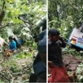നെല്ലിയാമ്പതിയിൽ കെഎസ്ആർടിസി ബസ് അപകടം. ഒരു സ്ത്രീ മരിച്ചു.