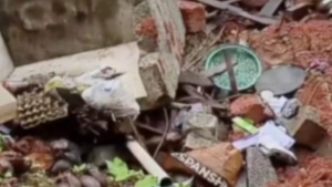 
                        കനത്ത മഴയിൽ വീട് തകർന്നു