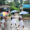 വയനാട് ജില്ലയിലെ വിദ്യാഭ്യാസ സ്ഥാപനങ്ങൾക്ക് നാളെ അവധി