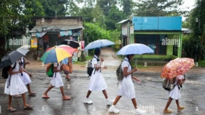 വയനാട് ജില്ലയിലെ വിദ്യാഭ്യാസ സ്ഥാപനങ്ങൾക്ക് നാളെ അവധി