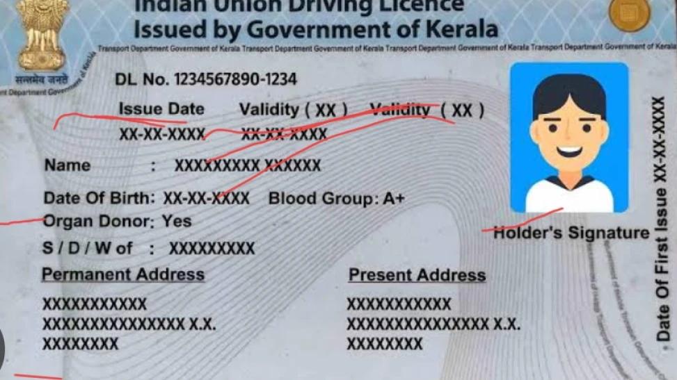  ഡ്രൈവിംഗ് ലൈസൻസ് നിയമങ്ങളിൽ ഭേദഗതിയുമായി മോട്ടോർ വെഹിക്കിൾ ഡിപ്പാർട്ട്മെന്റ്