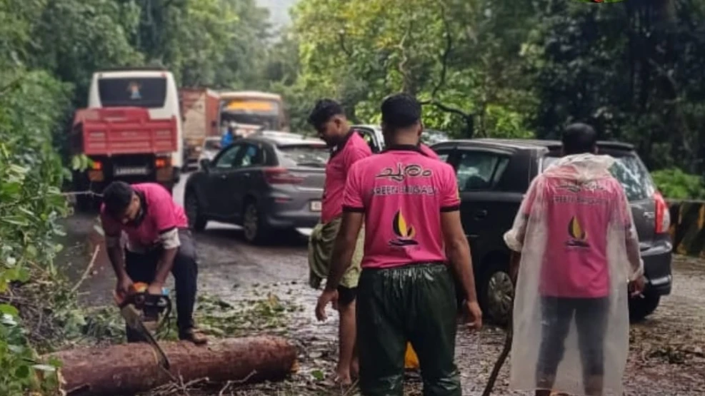 താമരശ്ശേരി ചുരം റോഡിൽ മരം വീണ് ഗതാഗതം തടസ്സപ്പെട്ടു.