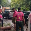താമരശ്ശേരി ചുരം റോഡിൽ മരം വീണ് ഗതാഗതം തടസ്സപ്പെട്ടു.