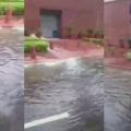 പുതിയ പാർലമെന്റ് മന്ദിരത്തിൽ വെള്ള ക്കെട്ടും ചോർച്ചയും.