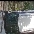 കൂത്താളിയിൽ കാർ നിയന്ത്രണം വിട്ട്  മറിഞ്ഞ് അപകടം