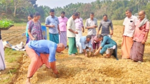 മുയിപ്പോത്ത് പച്ചക്കറികൃഷിയ്ക്ക്  വിത്തിടല്‍  നടത്തി