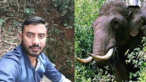 തൃശൂര്‍ പീച്ചിയില്‍ വനത്തിനുള്ളില്‍ കാട്ടാന ആക്രമണം; യുവാവിന് ദാരുണാന്ത്യം