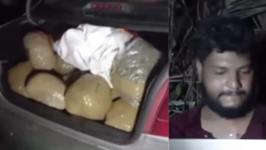 കോഴിക്കോട് വൻ കഞ്ചാവ് വേട്ട: 42 കിലോ കഞ്ചാവുമായി യുവാവ് പിടിയിൽ