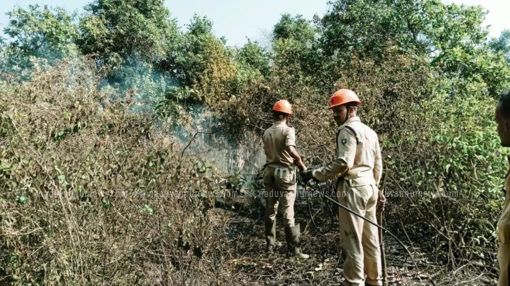  മുത്താമ്പിയിൽ ഫർണിച്ചർ ഷോപ്പിന് സമീപത്തെ അടിക്കാടിന് തീപിടിച്ചു