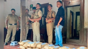 കുറ്റ്യാടിയിൽ വീട്ടിൽ ഒളിപ്പിച്ച നിലയിൽ 34.186 കിലോഗ്രാം കഞ്ചാവ്  പിടികൂടി