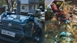 കാർ നിയന്ത്രണം വിട്ട് മരത്തിലിടിച്ച് കൊയിലാണ്ടി സ്വദേശികളായ മൂന്നുപേർക്ക് പരിക്ക്