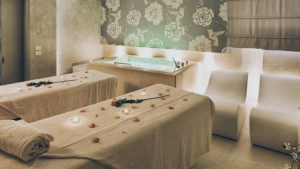 കോഴിക്കോട് കേന്ദ്രീകരിച്ചുള്ള സ്പാകളില്‍ പരിശോധന വ്യാപിപ്പിക്കാൻ തീരുമാനം