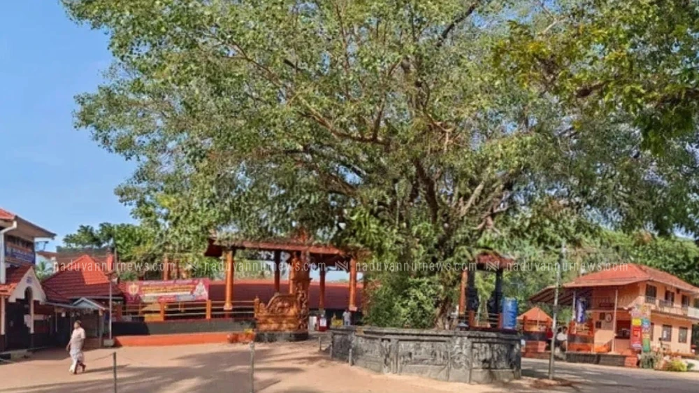  പിഷാരികാവ് ക്ഷേത്രത്തിലെ മഹോത്സവം ഏപ്രിൽ രണ്ട്, മൂന്ന് തിയ്യതികളിൽ നടക്കും