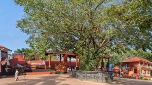 പിഷാരികാവ് ക്ഷേത്രത്തിലെ മഹോത്സവം ഏപ്രിൽ രണ്ട്, മൂന്ന് തിയ്യതികളിൽ നടക്കും