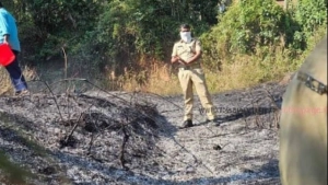 ഉള്ളിയേരി മുണ്ടോത്ത് അടിക്കാടിന് തീപിടിച്ചു