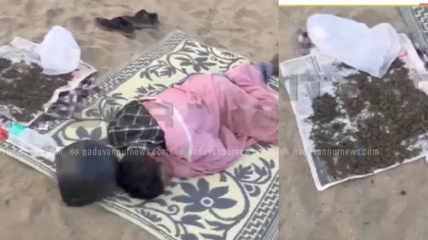 കഞ്ചാവ് ഉണക്കാനിട്ടു, കൂടെ കിടന്നുറങ്ങി; കോഴിക്കോട് ബീച്ചിൽ യുവാവ് പിടിയിൽ