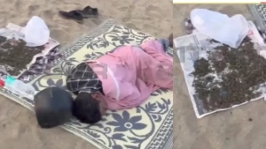 കഞ്ചാവ് ഉണക്കാനിട്ടു, കൂടെ കിടന്നുറങ്ങി; കോഴിക്കോട് ബീച്ചിൽ യുവാവ് പിടിയിൽ