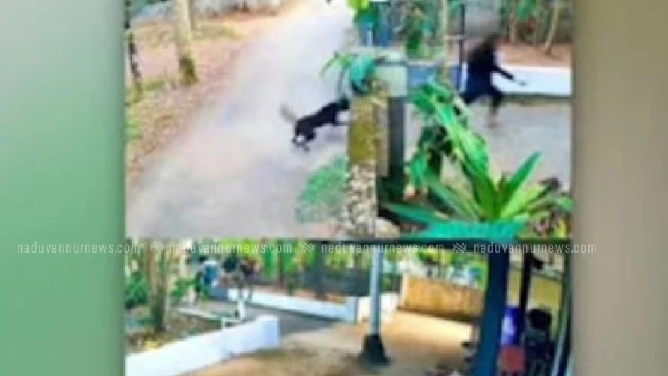  അഴിച്ചു വിട്ട വളർത്തുനായ കടിച്ച് വിദ്യാർത്ഥിനിക്ക് പരിക്കേറ്റു