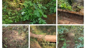 കനാൽ നന്നാക്കാൻ നടപടി സ്വീകരിക്കണം; മഹാത്മ ജനശ്രീ