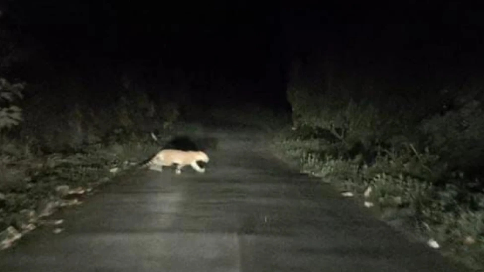  താമരശ്ശേരി ചുരത്തിൽ ഇന്ന് ഗതാഗത നിയന്ത്രണം യാത്രക്കാർ ശ്രദ്ധിക്കുക