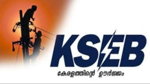 അമിതമായി സെക്യൂരുറ്റി ഡിപ്പോസിറ്റ് ഇടാക്കുന്നത് വൈദ്യുതി റെഗുലേറ്ററി കമ്മീഷൻ റദ്ദാക്കി
