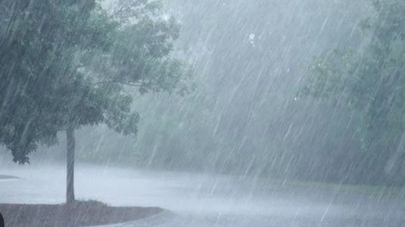  വടക്കൻ കേരളത്തിൽ ശക്തമായ മഴയിൽ നാശനഷ്ടങ്ങൾ