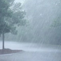 വടക്കൻ കേരളത്തിൽ ശക്തമായ മഴയിൽ നാശനഷ്ടങ്ങൾ