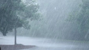 
                        വടക്കൻ കേരളത്തിൽ ശക്തമായ മഴയിൽ നാശനഷ്ടങ്ങൾ