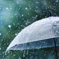 വടക്കൻ ജില്ലകളിൽ ശക്തമായ മഴയ്ക്ക് സാധ്യത.