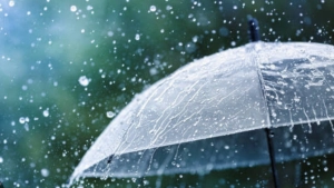 വടക്കൻ ജില്ലകളിൽ ശക്തമായ മഴയ്ക്ക് സാധ്യത.