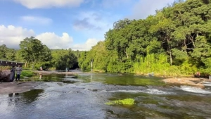 പൂനൂർ പുഴയിൽ ഇറങ്ങിയ യുവാവിനെ കാണാതായി