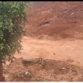 വയനാട് കള്ളാടി തുരങ്ക പാത ദുരന്തം കാണാതായവർക്കു വേണ്ടിയുള്ള തിരച്ചിൽ ഊർജിതം