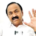 അതിവേഗ റെയിൽ സർക്കാർ വിദഗ്ധ സമിതിയെ കൊണ്ട് പഠനം നടത്തും, മുഖ്യമന്ത്രി
