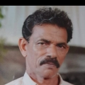 കുറ്റ്യാടിയിൽ തെങ്ങ് മുറിക്കുന്നതിനിടെ അപകടം ഒരാൾ മരിച്ചു.