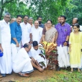 പരസ്ഥിതി ദിനാഘോഷം