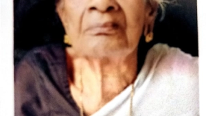 പിലാ തോട്ടത്തിൽ രുഗ്മിണി അമ്മ (88) നിര്യാതയായി