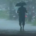 സംസ്ഥാനത്ത് കാലവർഷം ദുർബലപ്പെട്ടു.