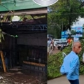 പേരാമ്പ്ര കൈതക്കലിൽ മരം വീണ് ഒരാൾ മരിച്ചു.