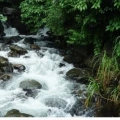 വിലങ്ങാട് പുഴയിൽ വെള്ളപൊക്കം