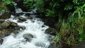 വിലങ്ങാട് പുഴയിൽ വെള്ളപൊക്കം