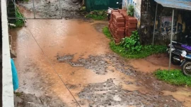 ഉള്ളിയേരി മത്സ്യ മാർക്കറ്റിന് സമീപം വെള്ളക്കെട്ട്