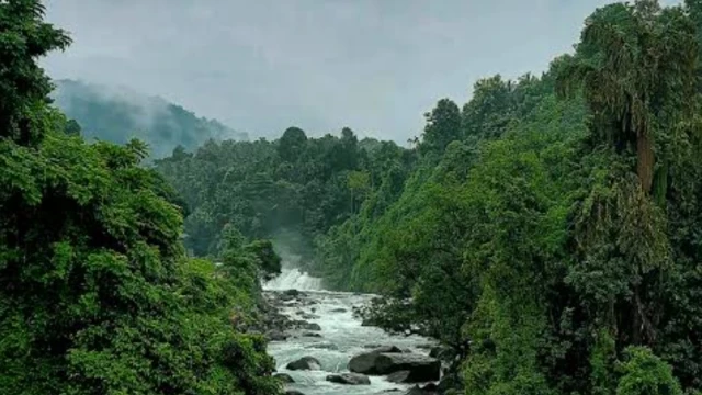  മലവെള്ളപാച്ചിലിൽ ഇരുവഞ്ഞിപുഴയിൽ ടൂറിസ്റ്റ് ഗൈഡിനെ കാണാതായി.