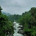 മലവെള്ളപാച്ചിലിൽ ഇരുവഞ്ഞിപുഴയിൽ ടൂറിസ്റ്റ് ഗൈഡിനെ കാണാതായി.