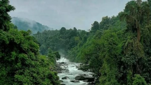 മലവെള്ളപാച്ചിലിൽ ഇരുവഞ്ഞിപുഴയിൽ ടൂറിസ്റ്റ് ഗൈഡിനെ കാണാതായി.