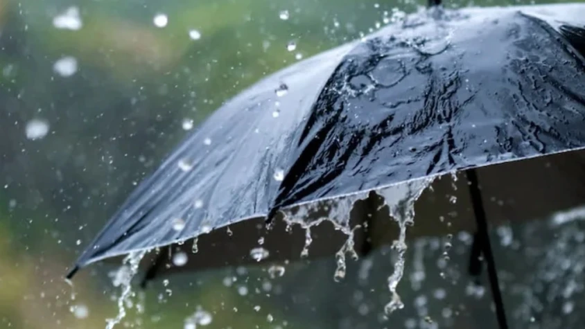  മഴ വരുന്നൂ; സംസ്ഥാനത്ത് ഇന്നും നാളെയും  ഒറ്റപ്പെട്ടയിടങ്ങളിൽ മഴയ്ക്ക് സാധ്യത