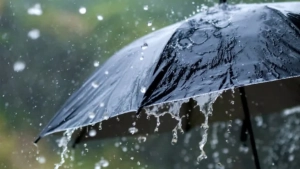 മഴ വരുന്നൂ; സംസ്ഥാനത്ത് ഇന്നും നാളെയും  ഒറ്റപ്പെട്ടയിടങ്ങളിൽ മഴയ്ക്ക് സാധ്യത