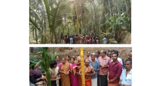 കരുവണ്ണൂർ അരിപ്പ കുളങ്ങര ഭഗവതി ക്ഷേത്ര തിറ മഹോത്സവം കൊടിയേറി